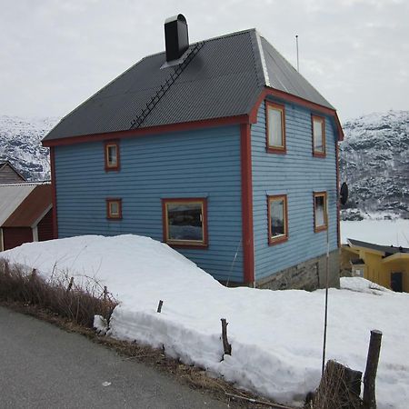 فيلا The Blue House, Røldal المظهر الخارجي الصورة